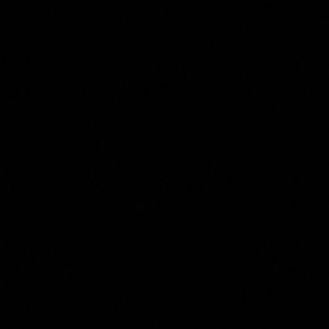 Meet your Posher, Louis